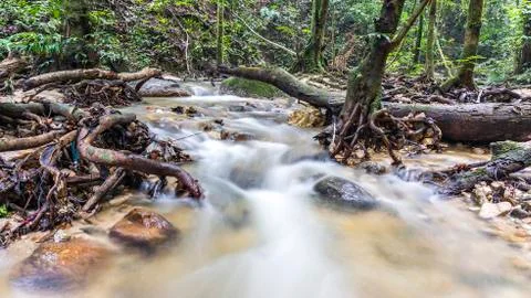 Water stream Stock Photos