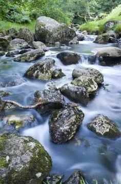 Water stream 스톡 사진