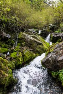 Water stream Stock Photos