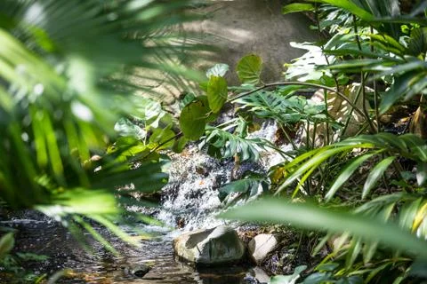 Water Stream Stock Photos