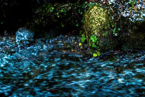 Water stream Stock Photos