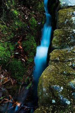 Water stream Stock Photos