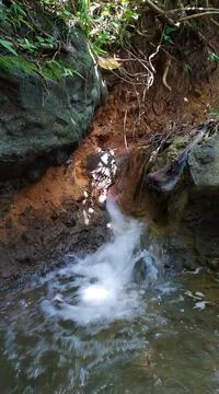 Water Stream Stock Photos