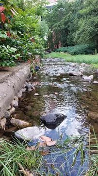 Water Stream Stock Photos