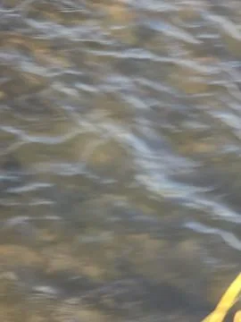Water stream Stock Photos