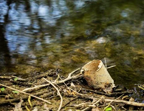 Water stream pollution Foto stock