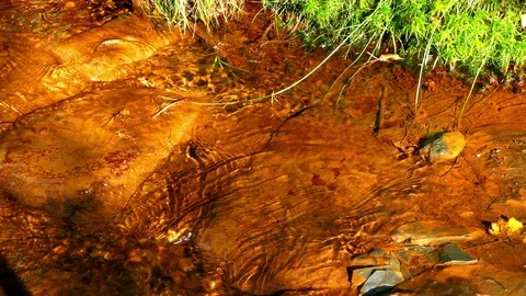 Water stream with reddish bottom. Stock Footage 87170610
