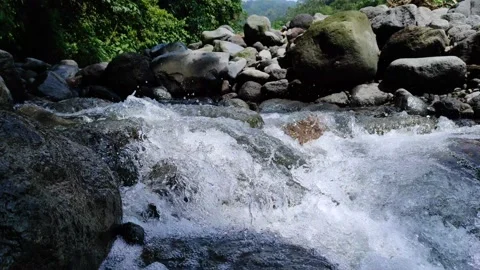 Water stream on river bed and rock with natural lighting Stock Footage 161691928