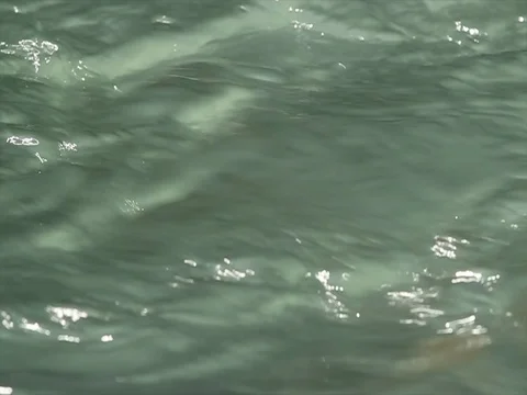 Water stream on river close up Stock-Footage 85063426