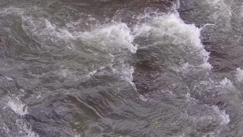 Water stream of river Stock Footage 167800236