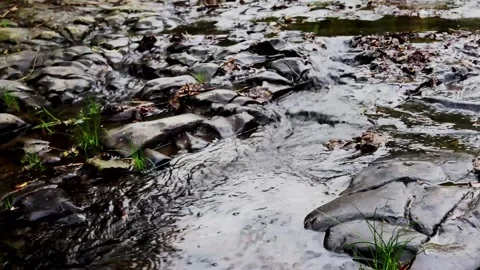 Water stream from a river Stock Footage 201054172