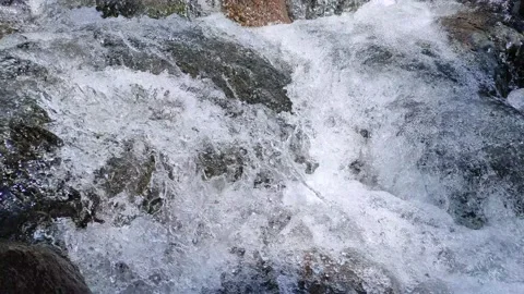 Water Stream on River Rock Vidéo 161692017