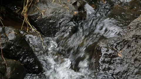 Water Stream With Rocks Stock Footage 104826197