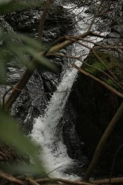 Water stream running down rocks with branches in the foreground Stock Photos