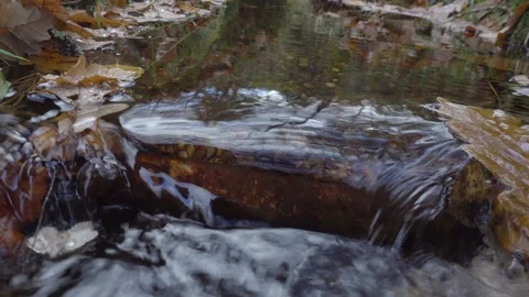 Water stream running in the middle of rocks convered with moss and autumn leaves Stock Footage 99936474