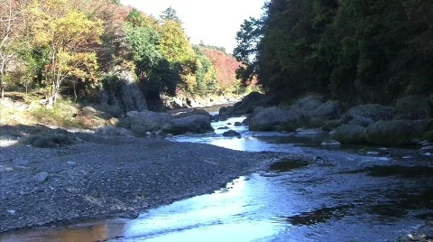 Water Stream in the shade Stock Footage
