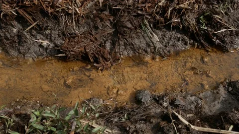 Water stream on the small drainage ditch in peat bogs Stock Footage 159267607