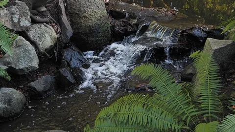 Water stream with small man-made waterfall Stock Footage 124755025