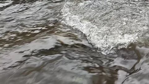 Water Stream In Small River After Rain Stock Video Stock Footage 130501759