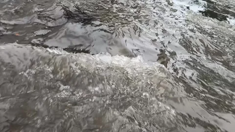 Water Stream In Small River After Rain Stock Video Stock Footage 130514294