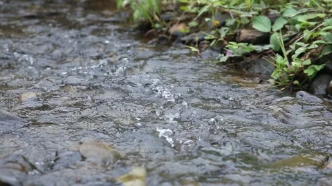 Water stream with small rocks and audio Video stock 250581916