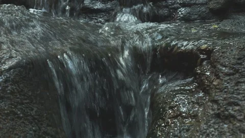 Water stream texture over jungle stones Stock Footage 332035483