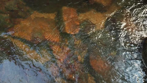 Water stream texture over rock bed Stock Footage 331975196