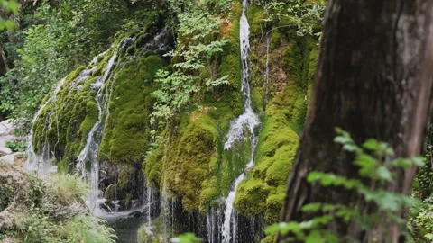 Water stream threads on moss at Capelli di Venere waterfall, Cilento, Italy Video stock 278530744