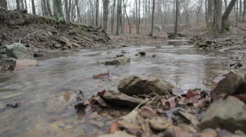 Water Stream Time Lapse Video stock 31038998