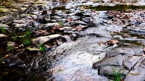 Water stream timelapse Stock Footage 201054583