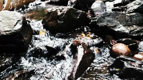 Water stream timelapse Stock Footage 201055412