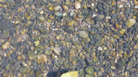 Water stream with tiny stones and leaf floating down the stream Stock-Footage 148042942