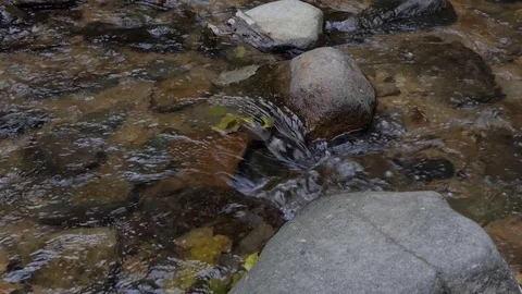 Water Stream in tropical rain forest. Stock Footage 83315213