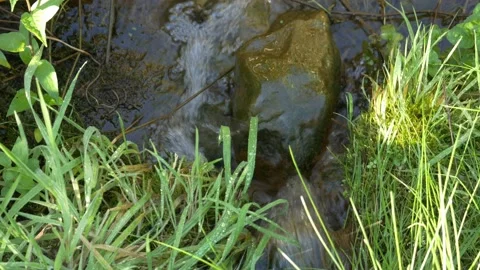 Water stream waterfall flow river lake pond stone rock grass from above Stock Footage 213600635