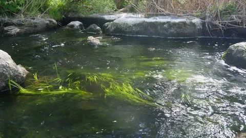 Water stream at wild rock river Stock Footage 81189934
