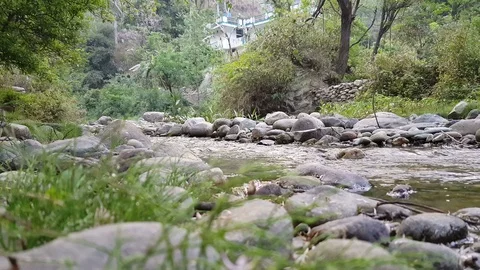 Water stream in wild terrine 스톡 동영상 88177511