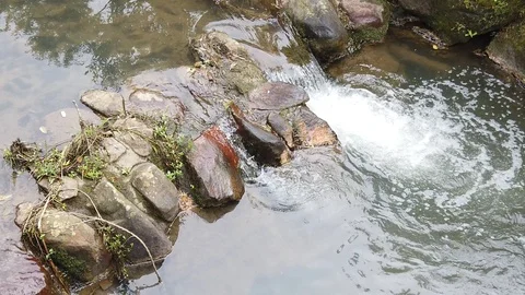 Water Stream in Yangmingshan Video stock 106707120