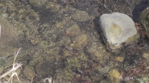 Water Stream_Ungraded 스톡 동영상 41511074