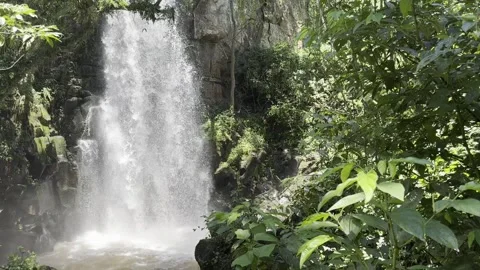 Water Streaming Down Moss-Covered Rocks at Iguazu Falls Stock Footage 348022679