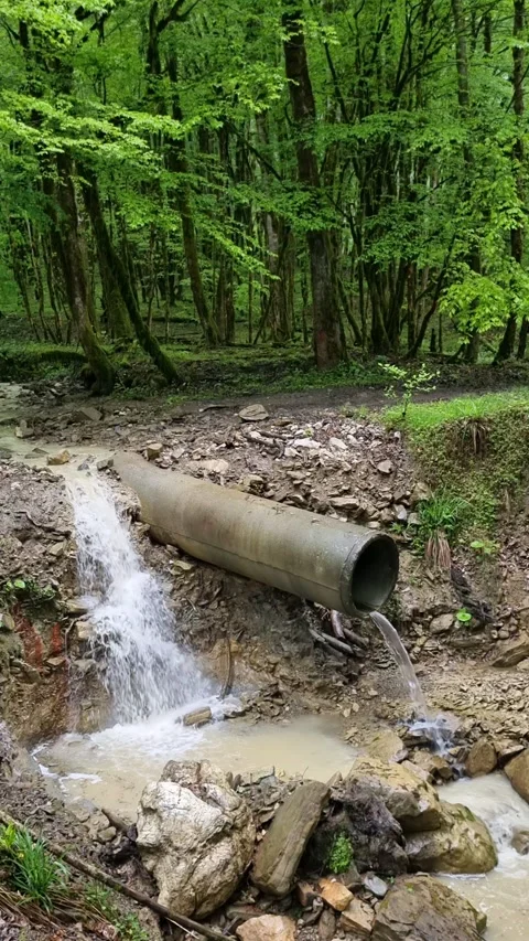 Water streaming from drainage pipe, cascading through verdant forest landscape Stock Footage 308083724