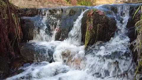 Water streaming over moss and fern covered rocks - leaves flowing in the stream Stock Footage 258670886
