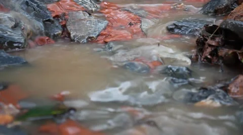 Water streaming over stones Stock Footage 44444627
