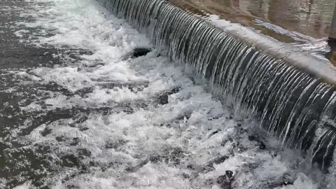 Water streaming over weir Stock Footage 153780848