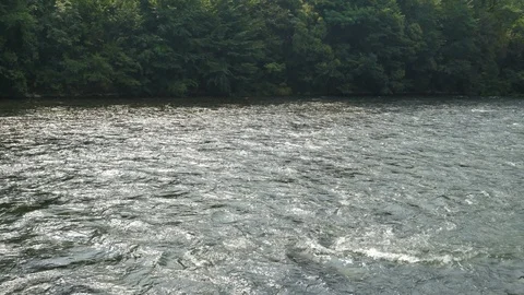 Water streaming on the river Stock Footage 121741957