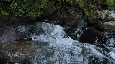 Water streaming on river rock with moss Stock Footage 161691918