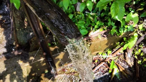 Water Streaming from a Split Bamboo Channel in Thailand 스톡 동영상 348064243