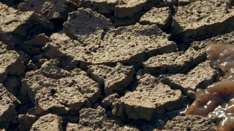Water streaming through dry cracked soil, water saving land from drought Video stock 232588585