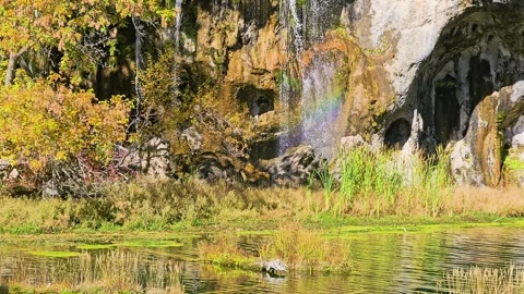 Water streams over a moss covered cliff into a green alpine pool at Banff Stock Footage 345811829