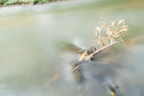 Water in streams Stock Photos