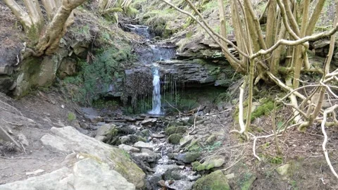 A water streams surrounded by greenery in the park. 動画素材 154368565